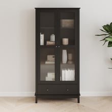 Darius 2 Door Display Cabinet